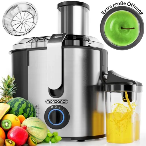 Entsafter - Entsafter für Obst & Gemüse 1100W - Edelstahl - große Einfüllöffnung