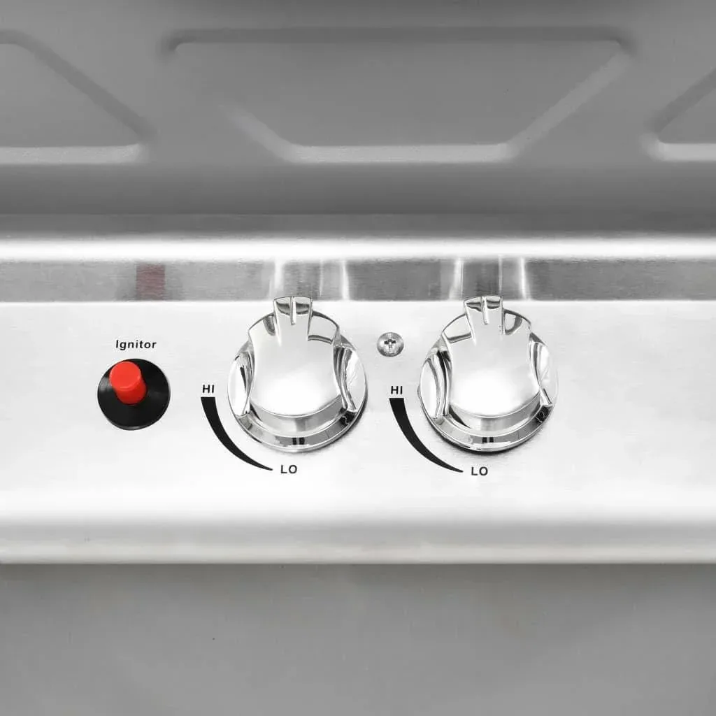 Gasgrill und Grill mit 2 Kochzonen aus Edelstahl silber