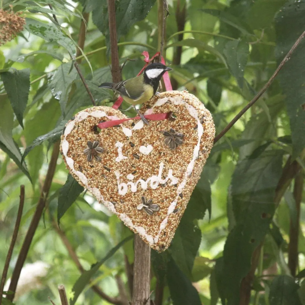 Vogelfutter "Herz"