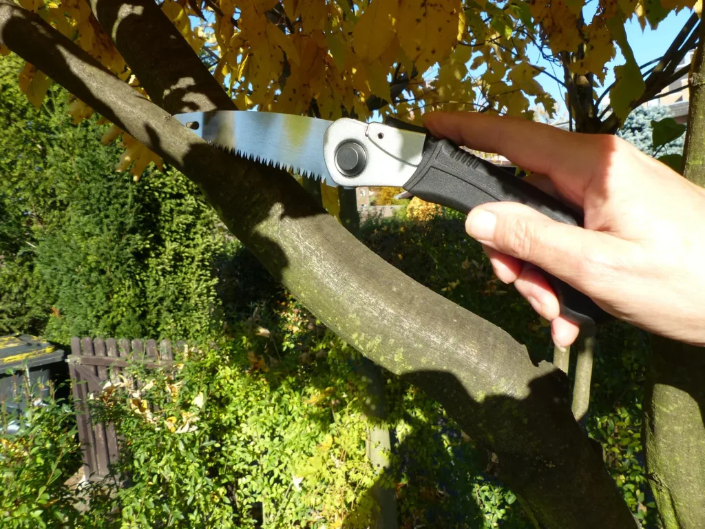 Damen Klappsäge
