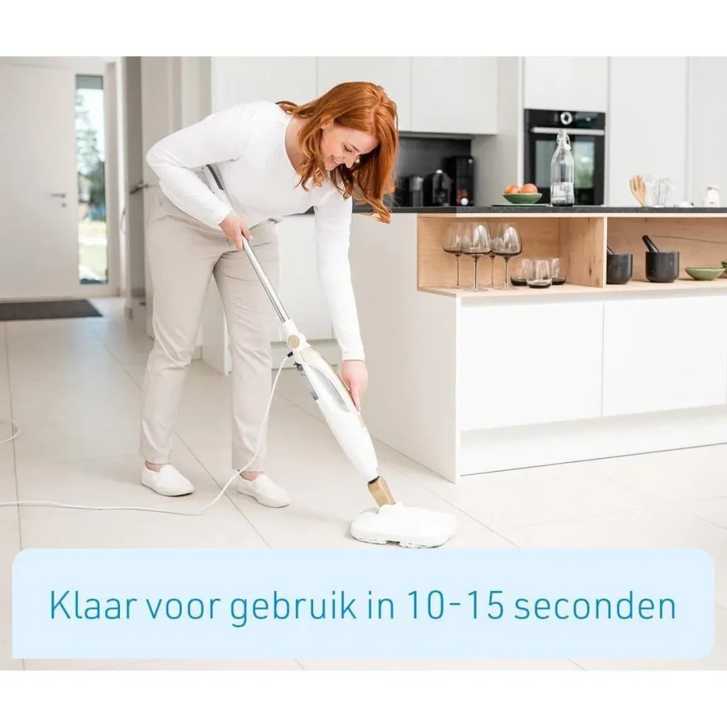 Dampfreiniger