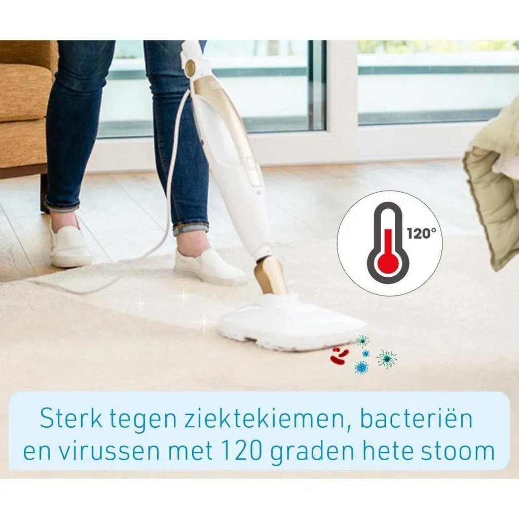 Dampfreiniger