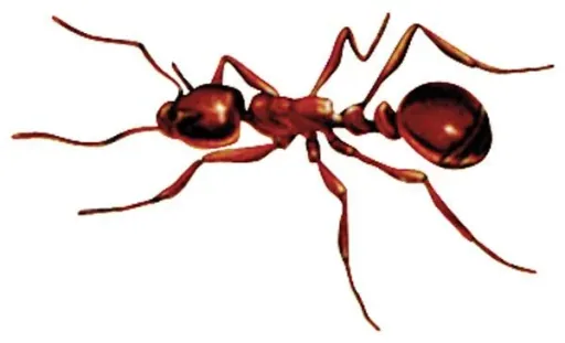 Der Insekten Hai / Insektenspray, 500 ml