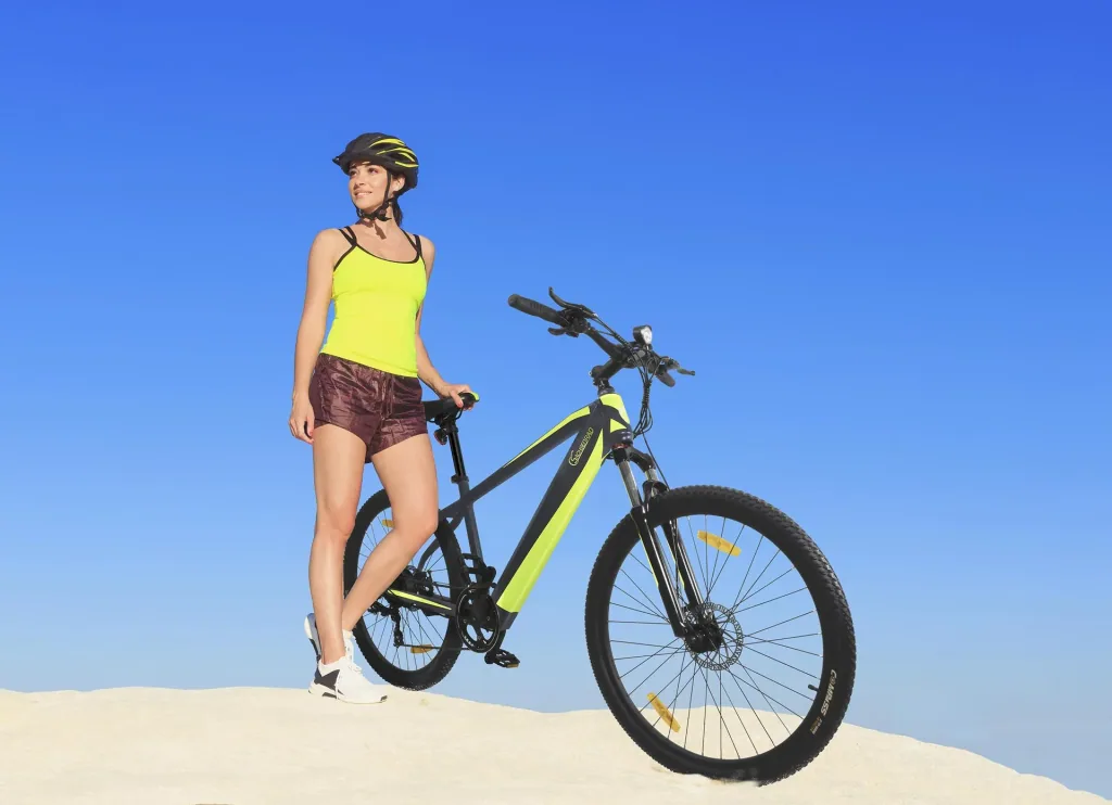 Unisex E-Racing Mountain Bike 27,5 Zoll, 7-Gang Kettenschaltung, grau, RR