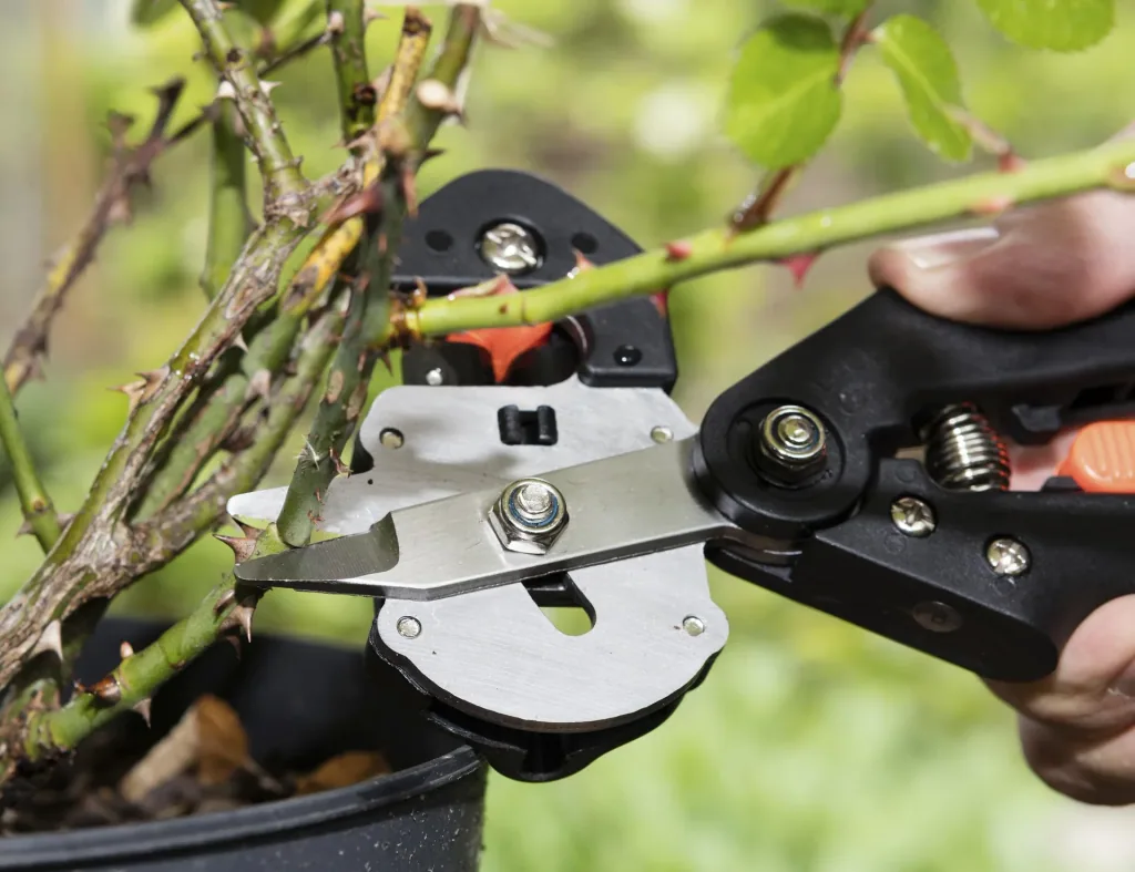 GartenMeister Veredelungs-Set mit 2 Ersatz- Omega- Messern, Veredlungsband 10 Stück - aus PE