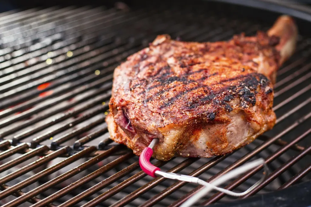 Messfühler für Grillgut