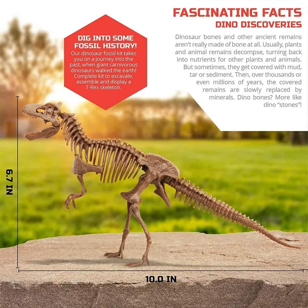 Discovery Mindblow - Dinosaurier graben " " 3D Puzzle - Grabungsset - Archäologie