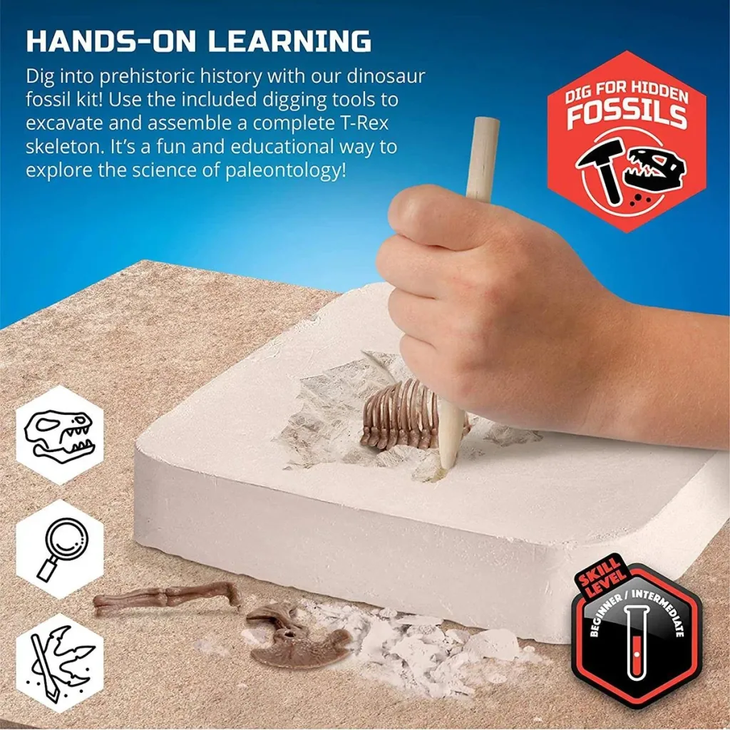 Discovery Mindblow - Dinosaurier graben " " 3D Puzzle - Grabungsset - Archäologie