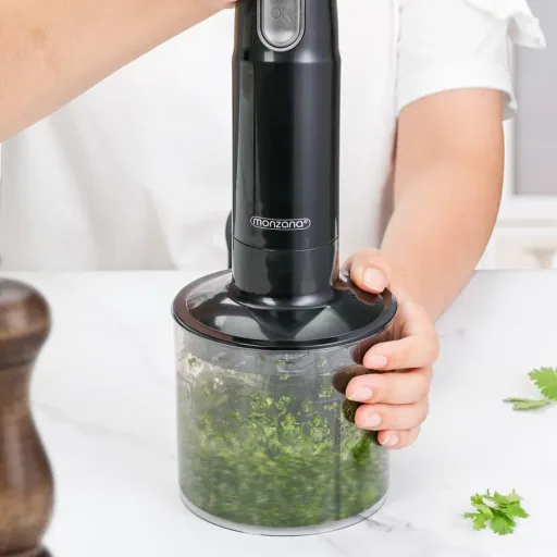 Stabmixer-Set aus Edelstahl