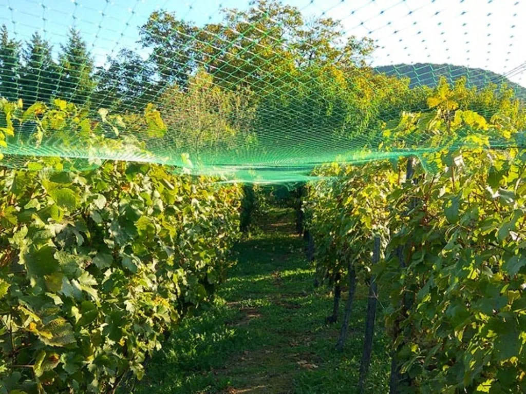 Vogelschutznetz 4x10 m, grünes Vogelschutznetz mit 20 mm Maschenweite, leichtes Polyester-Pflanzennetz für Obstbäume, Gemüse, Sträucher und Teiche, Gartennetz gegen Vogelfraß