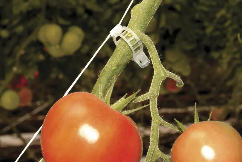 Tomatenrank-Kit für Kunststoff Gewächshäuser