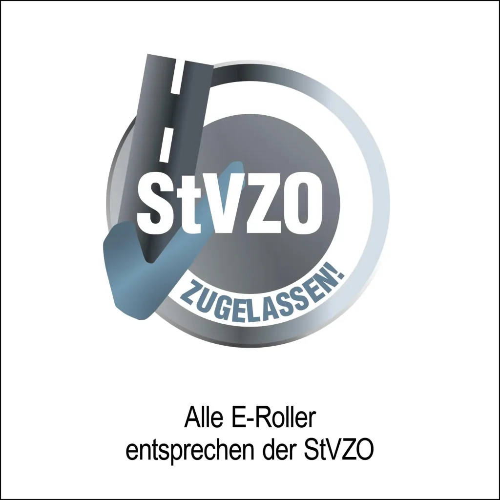 Elektro-Faltroller Speedster 45 km/h, 1000 Watt, inklusive Blinkanlage und Gepäckfach, Schwarz