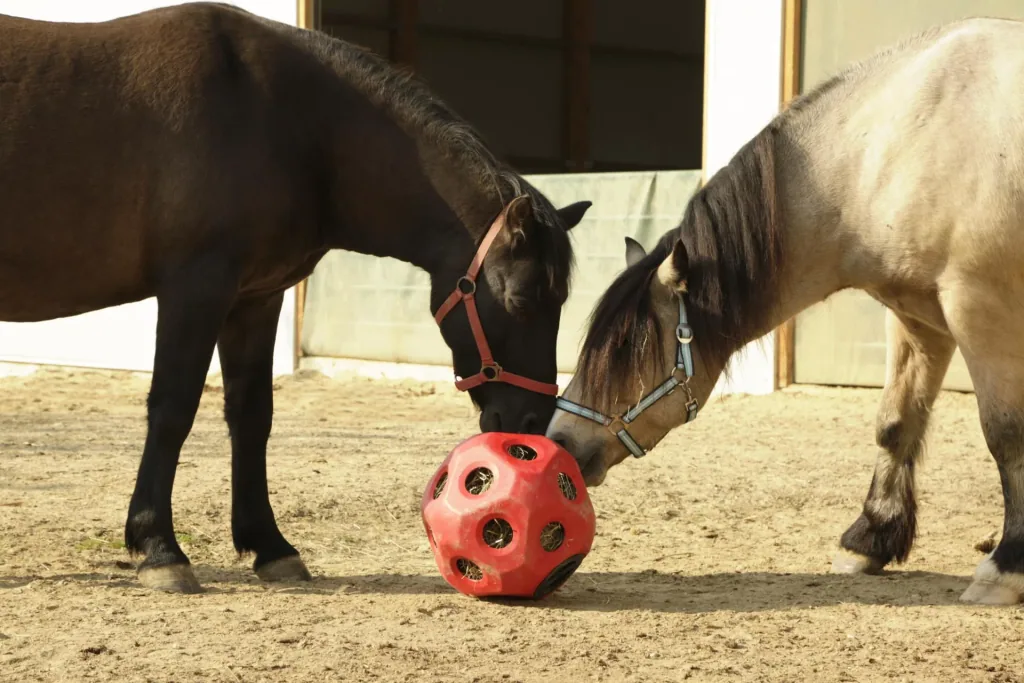 Futterspielball HeuBoy, rot