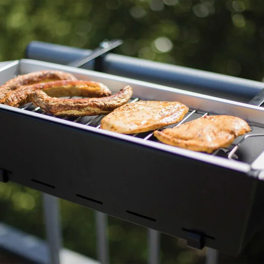 Esschert Design-Balkongrill schwarz BL096