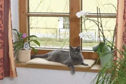 Fensterliegekissen für Katzen, 60 x 26 cm
