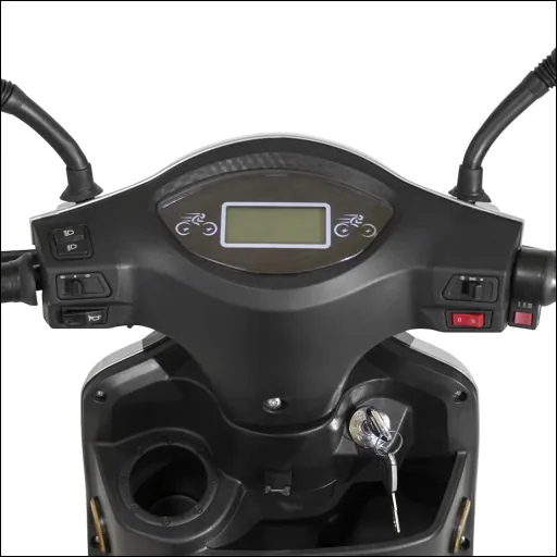 3-Rad E-Mobil Bologna 25 km/h schwarz inklusive Wind- und Wetterschutz