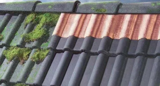 Dach-Reinigungsband 5 Meter und Nahtroller