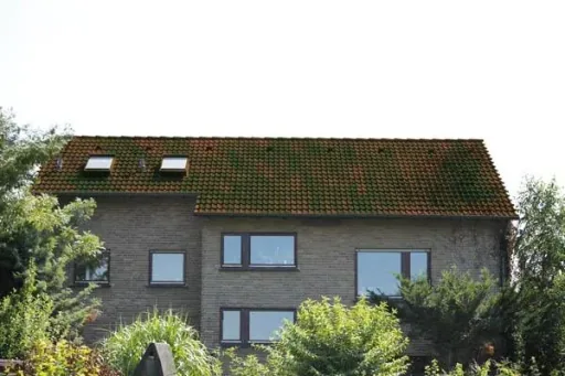 Dach-Reinigungsband 5 Meter und Nahtroller