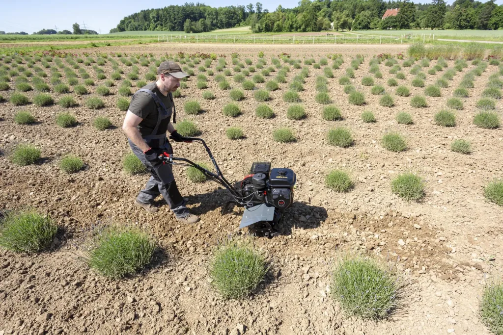 Benzin-Motorhacke MH 540 Comfort