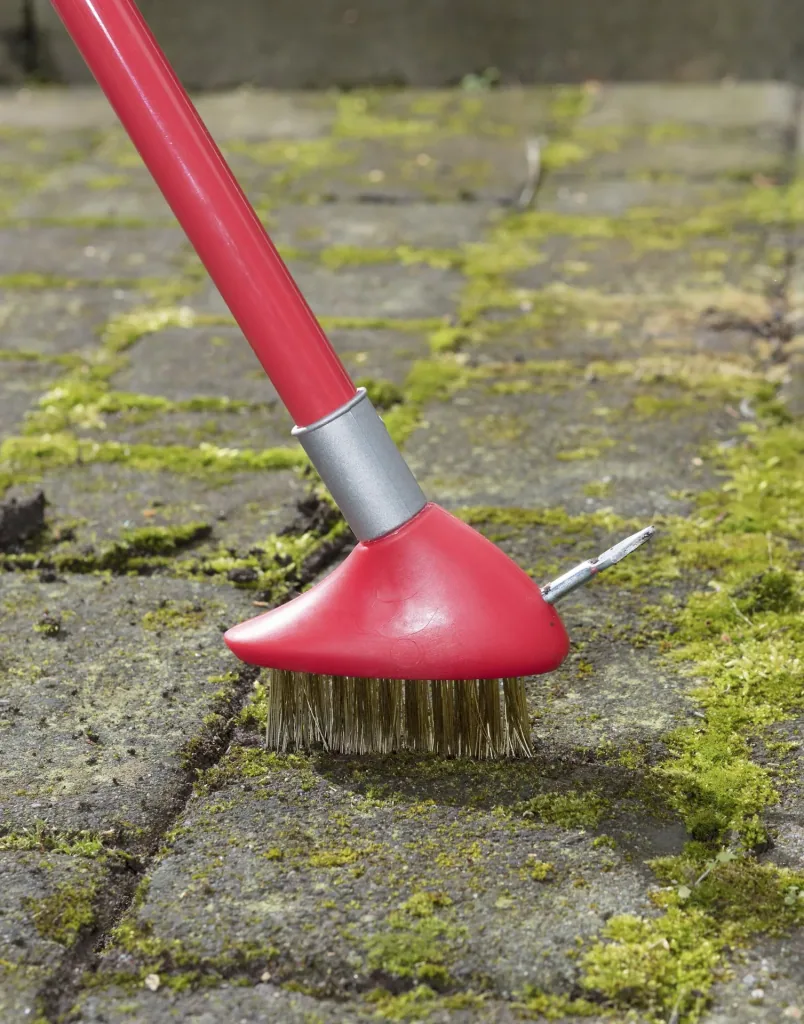 3 in 1 Garten-Unkraut-Bürsten Set - teleskopierbar