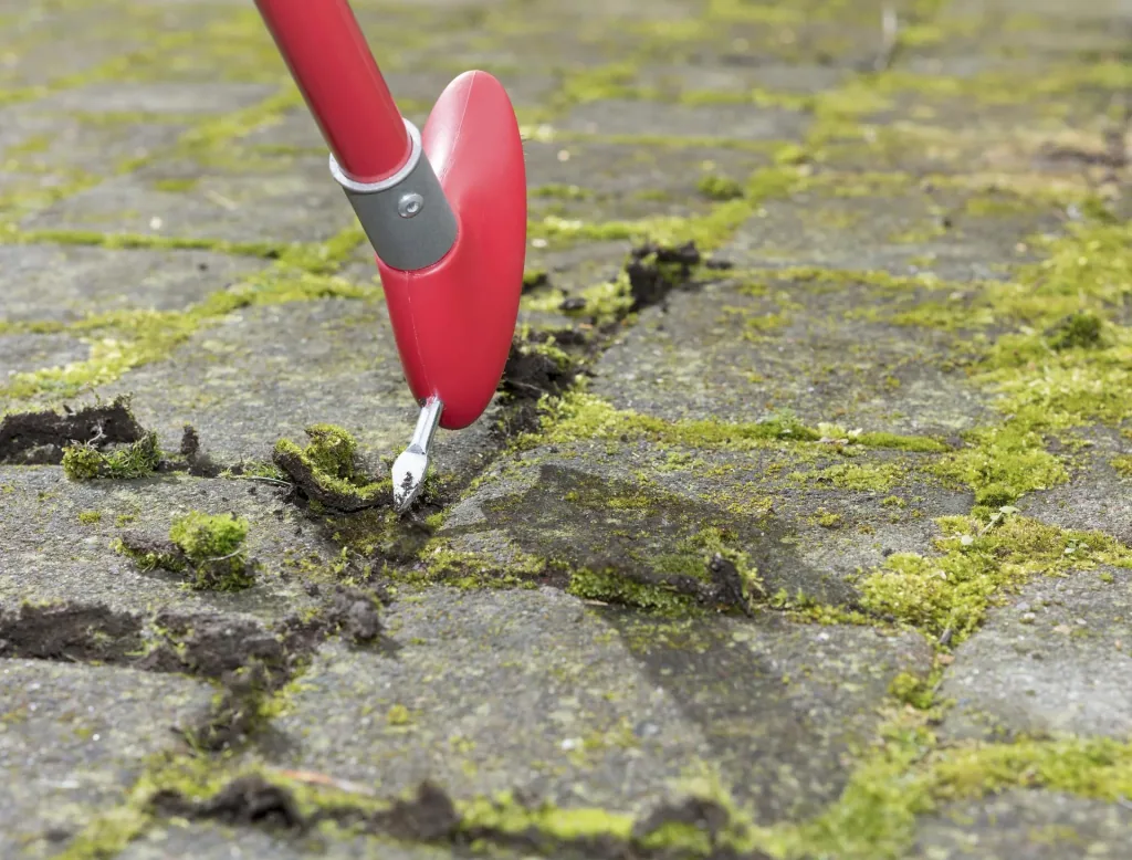 3 in 1 Garten-Unkraut-Bürsten Set - teleskopierbar