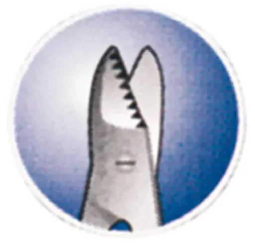 Fußnagelschere, 10,5 cm, extra stark, rostfrei