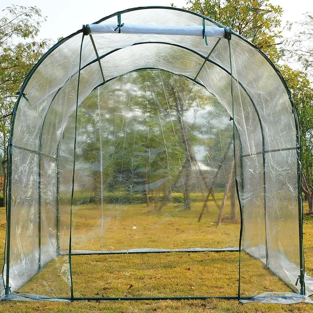 Foliengewächshaus transparent