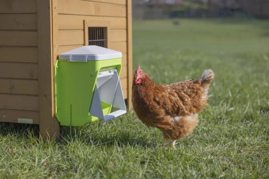 SmartCoop Futterautomat mit  Schutzklappe, 7,5 kg