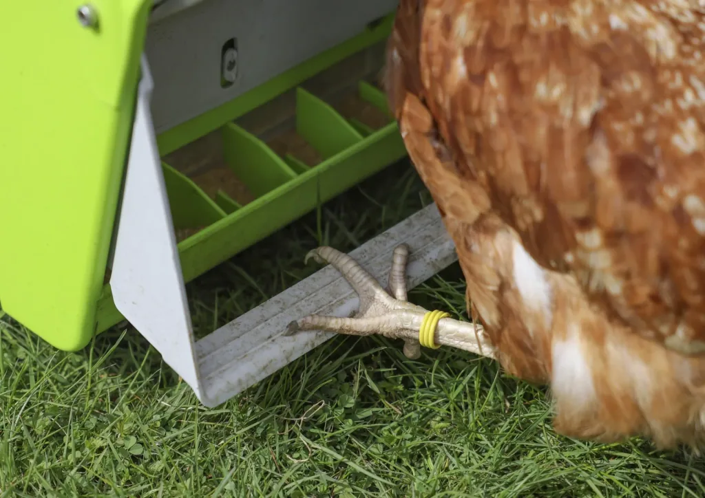 SmartCoop Futterautomat mit  Schutzklappe, 7,5 kg