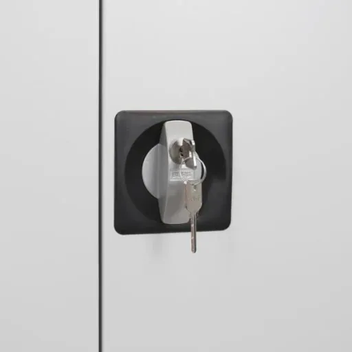 Flügeltürschrank RAL 7035, 195x92x50cm