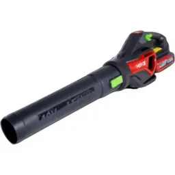 Laubbläser 40 Volt Li-Ion