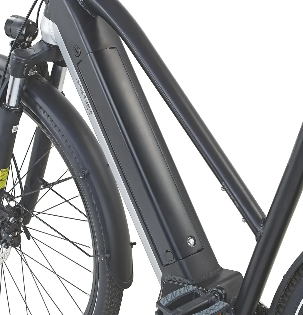 Damen E-Bike 28 Zoll, Rahmenhöhe 52 cm, 10-Gang Kettenschaltung, silber matt, eSUV 22.ETS.15