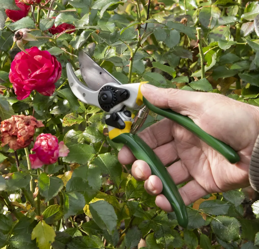 Einhand-Gartenschere, Classic