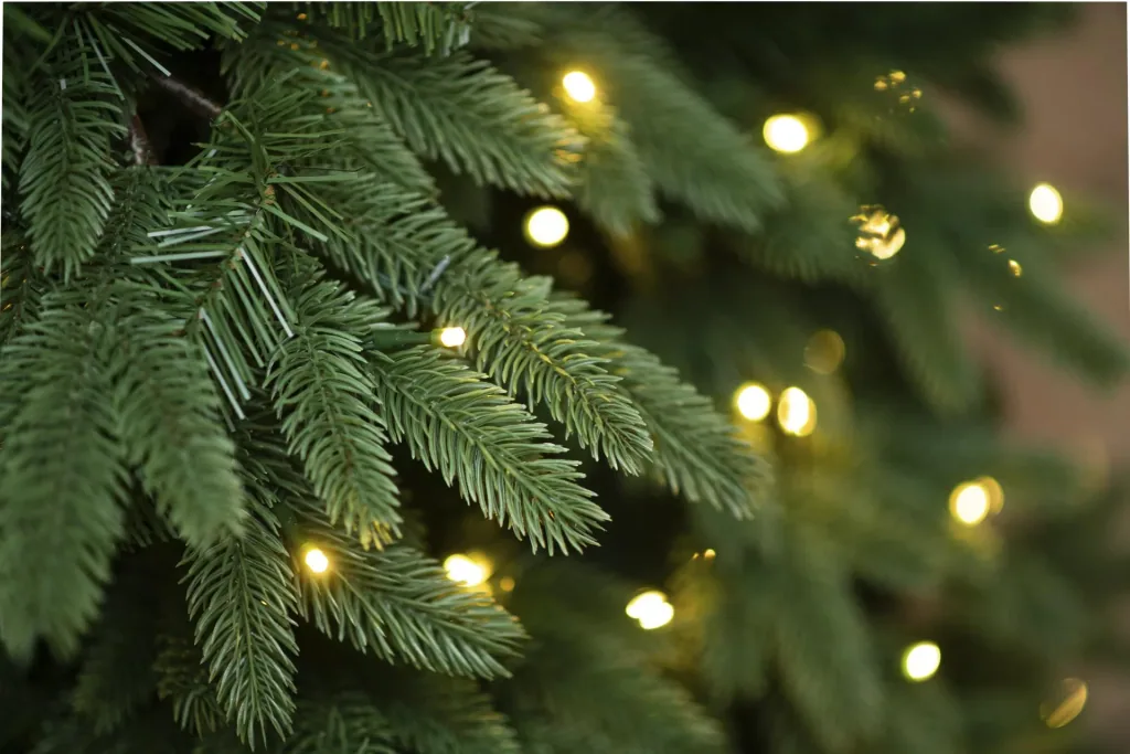 Weihnachtsbaum Roswell Kiefer 150 cm