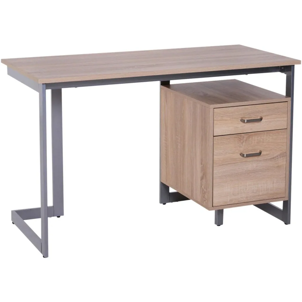 Computertisch PC-Tisch Schreibtisch Arbeitstisch Bürotisch 2 x Schublade 120 x 58 x 76 cm