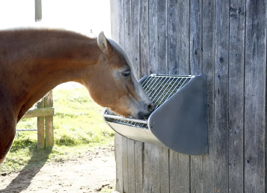 Heuraufe mit Futterspargitter