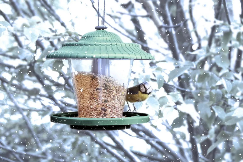 Vogelfuttersilo farblich sortiert