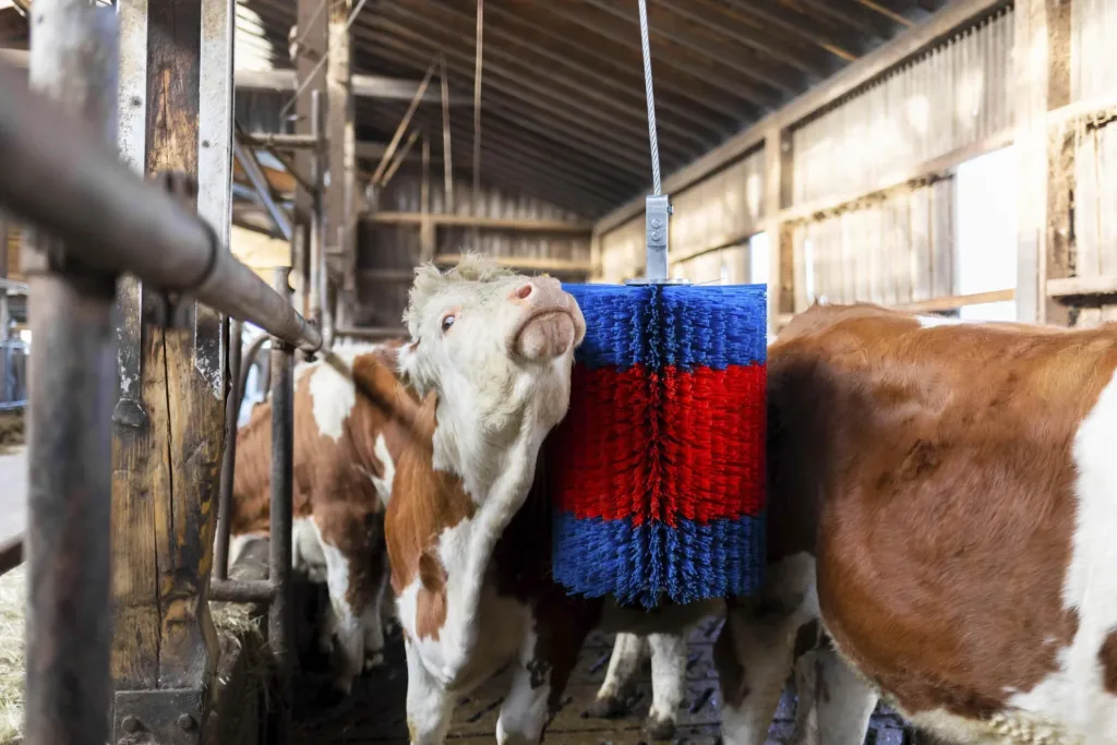 Viehbürste HAPPYCOW Free Midi ohne Ausleger