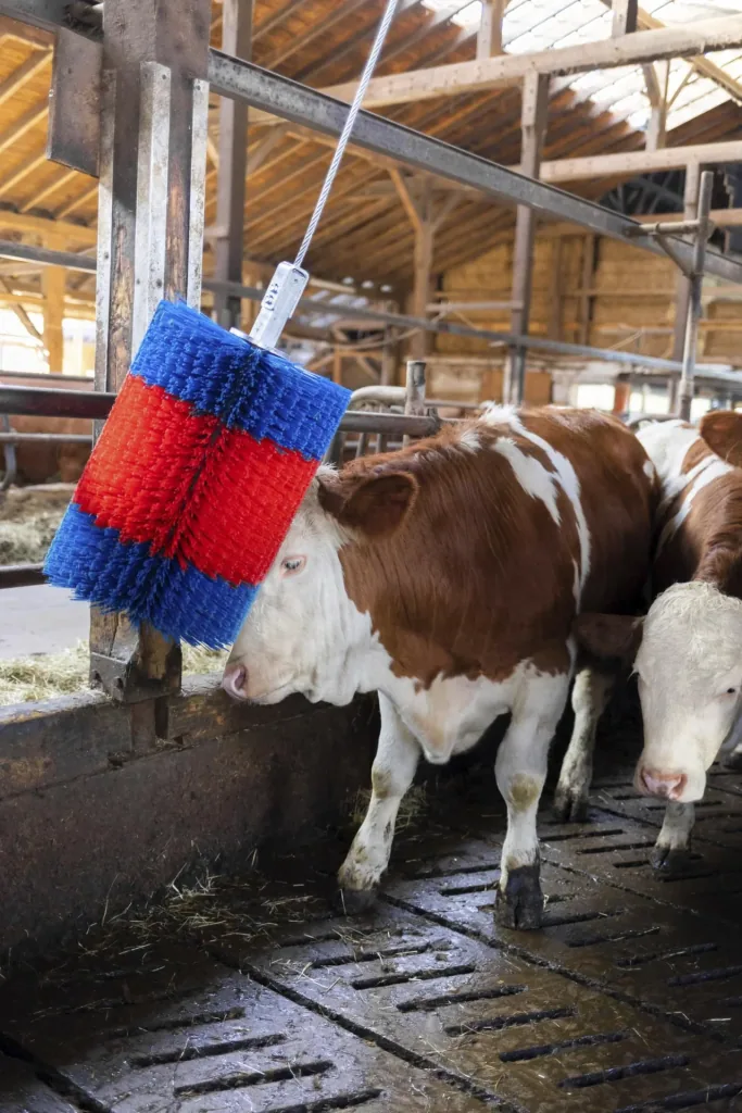 Viehbürste HAPPYCOW Free Midi ohne Ausleger