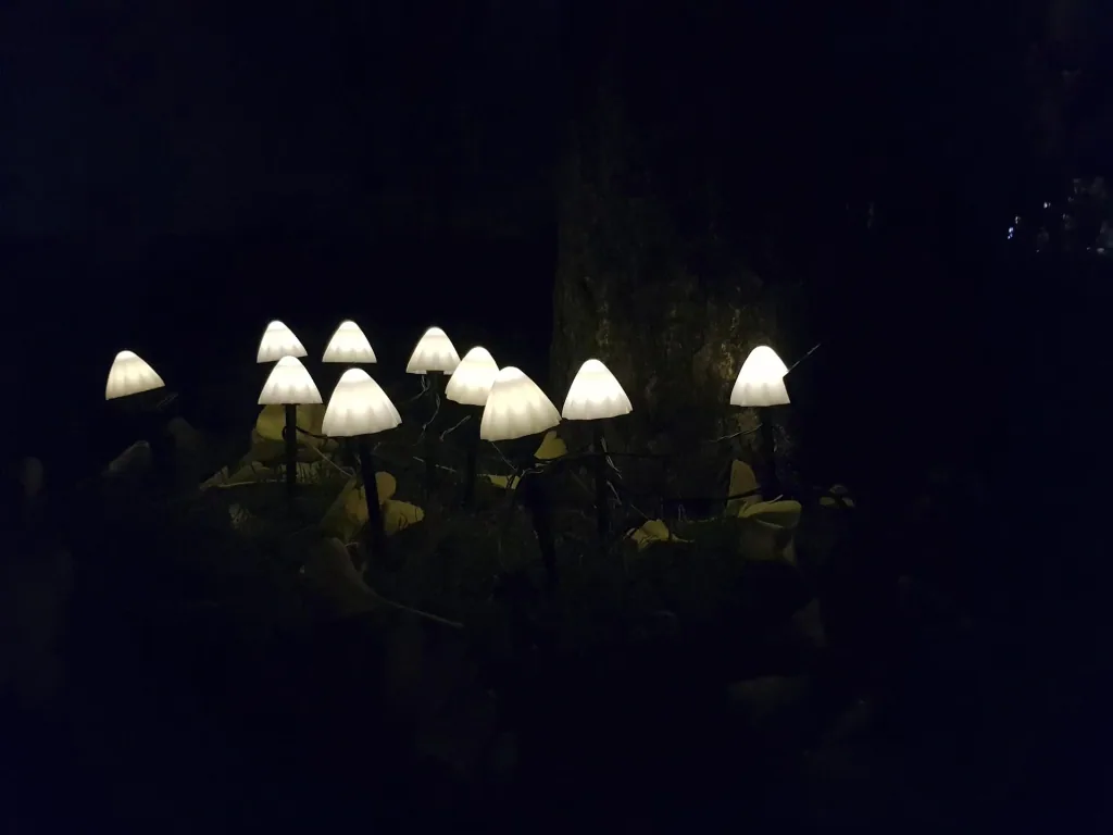 Solar-Lichterkette "Pilz", mit 20 warmweißen LEDs