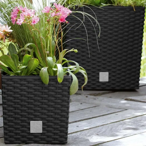 Blumentopf Rato Niedrig anthrazit 32x32x33cm