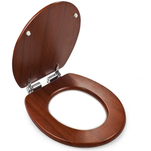 Toilettensitz - schließt sich langsam