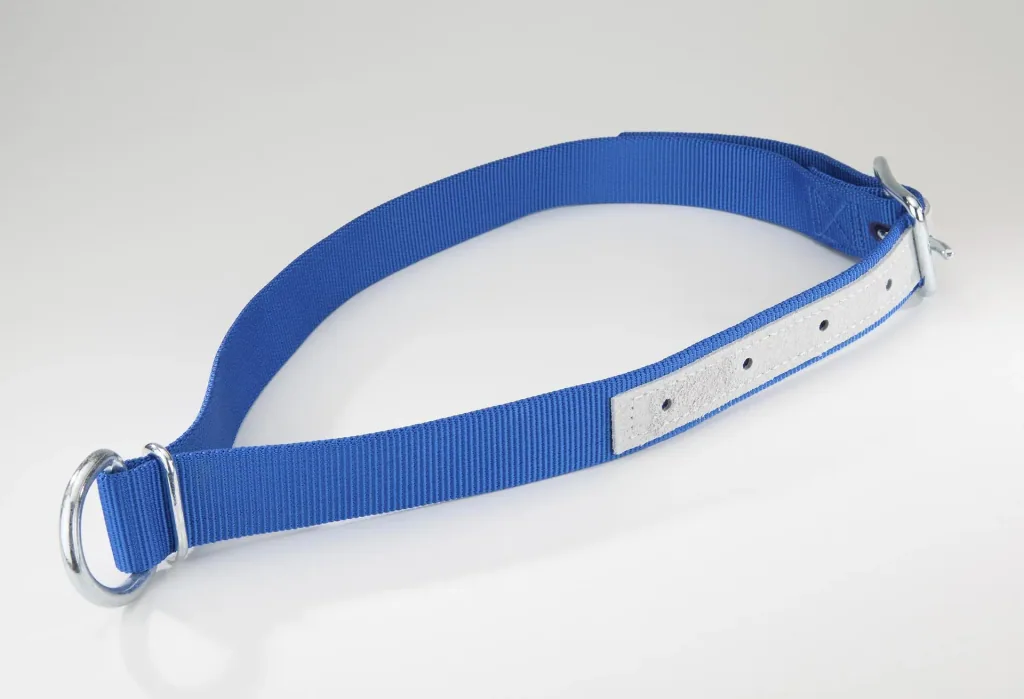 Halsbänder für Kühe - blau