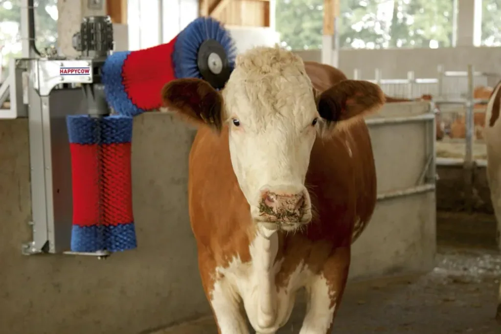 Kuhputzmaschine HappyCow Duo mit hochwertigen Polyamidborsten