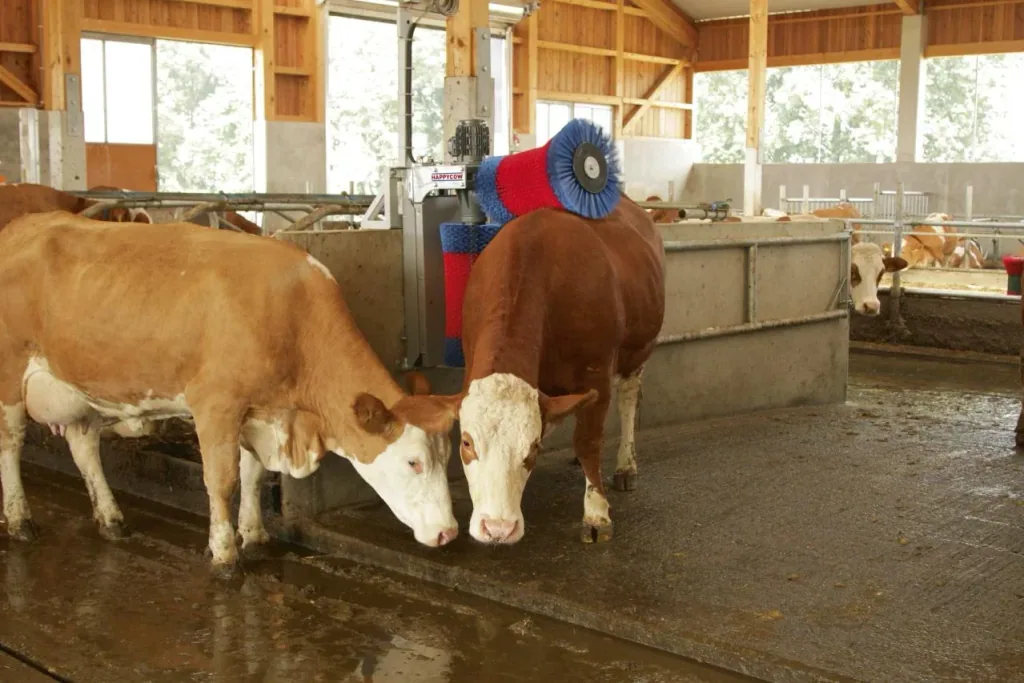 Kuhputzmaschine HappyCow Duo mit hochwertigen Polyamidborsten
