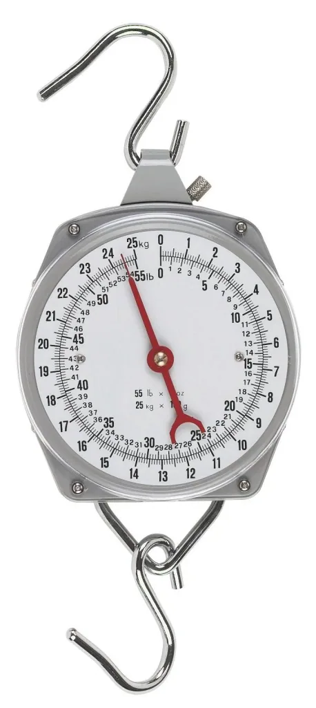 Zeigerschnellwaagen bis 250 kg, Strichunterteilung 1 kg, 1 S-Haken