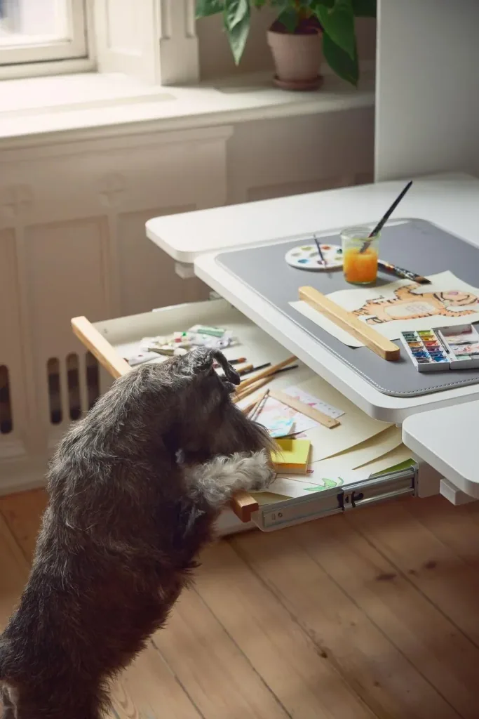 Flexa Schreibtisch - MOBY, Study, Middle Up
