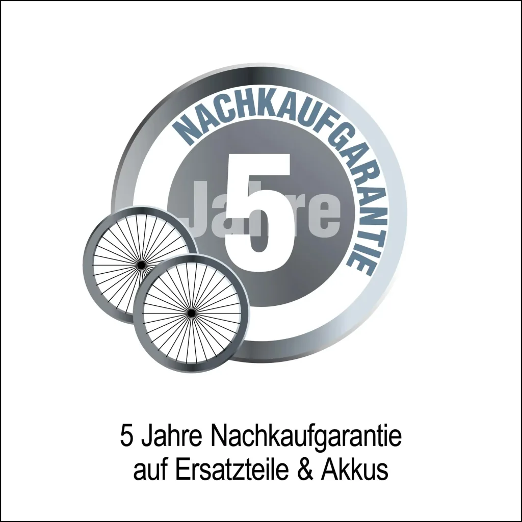 E-Faltroller Speedster 45 km/h Basic 48V/15Ah Blei-Gel, Schwarz
