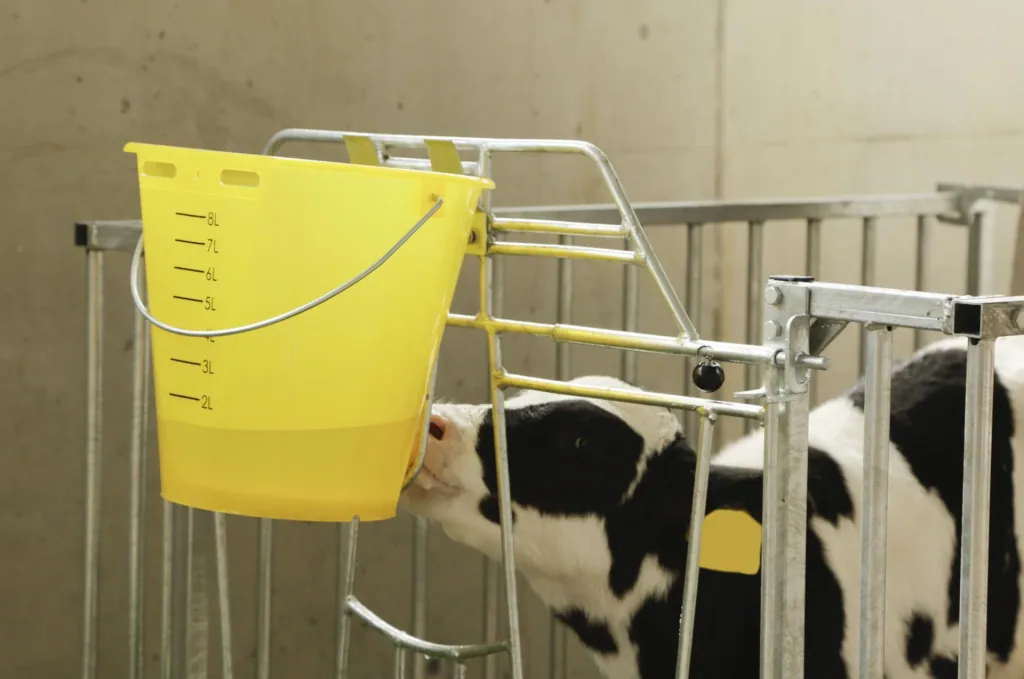 Kälber Tränkeeimer 8 l, gelb transparent mit Skala
