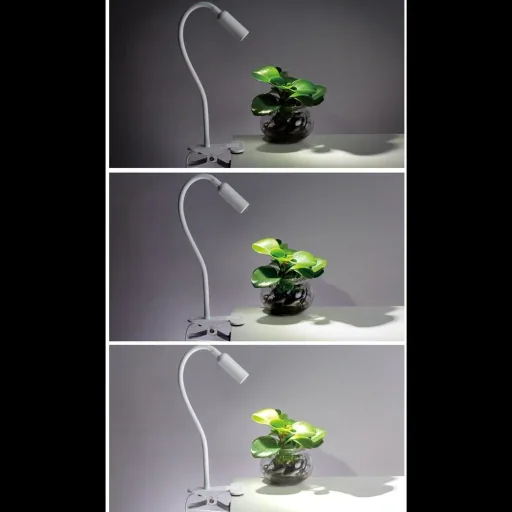 LED-Wandleuchte Miza Weiß